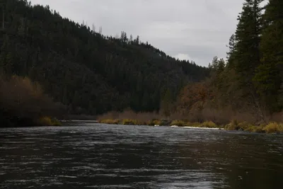 DSC_0211 (Large).JPG